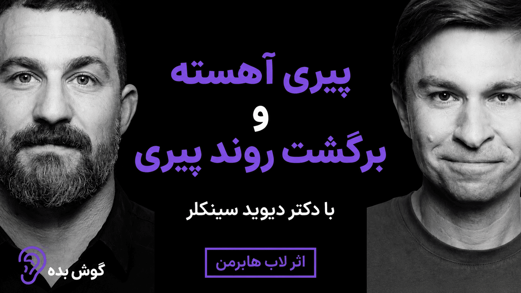 چکیده پادکست‌های اندرو هوبرمن – مجموعه خلاصه پادکست در گوش بده